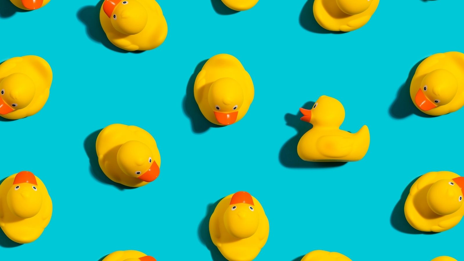 rubber-duck-debugging